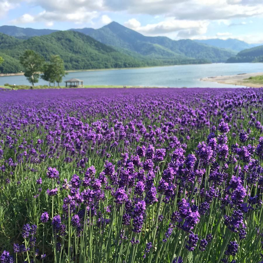 Отель Nanputei Minamifurano Экстерьер фото